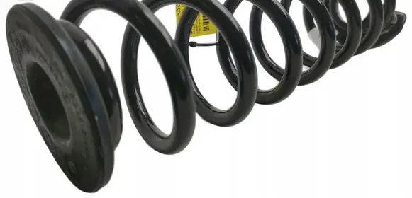 Rear coil spring