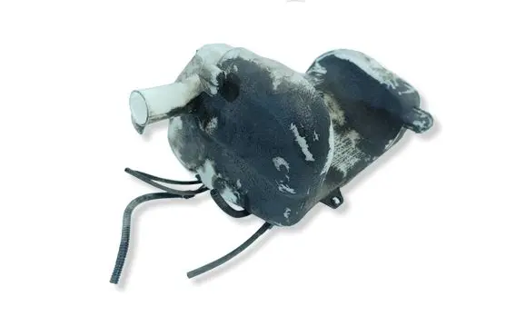 Citroen Berlingo Windshield washer fluid reservoir/tank 21376901 21876900