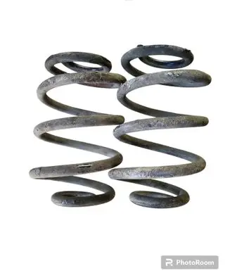 Rear coil spring