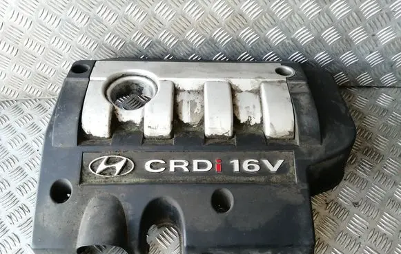 Hyundai Santa Fe Engine cover (trim) 2924027101