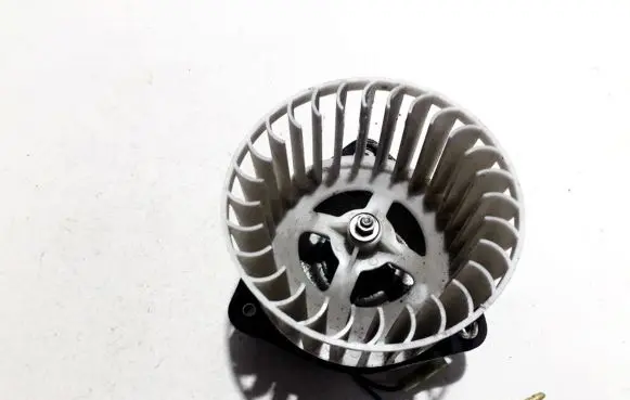 Heater fan/blower