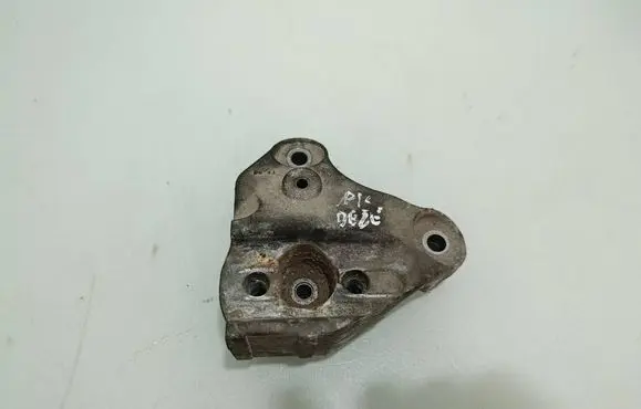 Citroen C3 Engine mounting bracket 510019