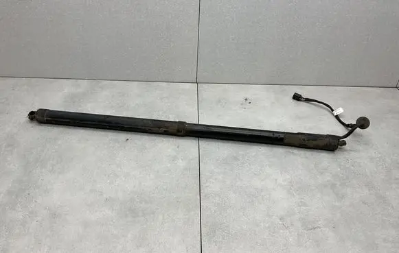 Tailgate/trunk strut/damper