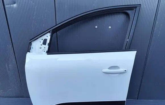 Dacia Sandero III Front door SANDEROIIIDRZWI