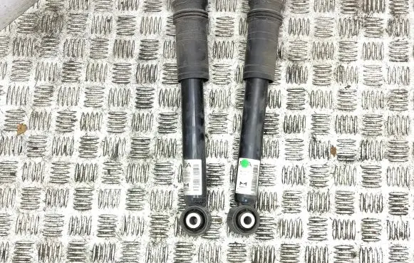 Peugeot 208 Rear shock absorber/damper 9831187480