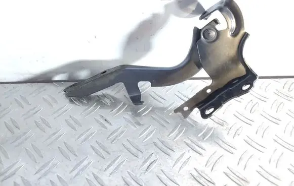 Lexus RX 450H Engine bonnet/hood hinges 
