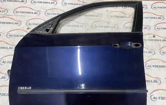 BMW X5 E70 Front door