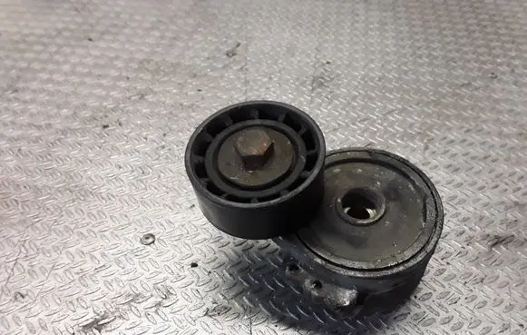 Peugeot 307 Generator/alternator belt tensioner