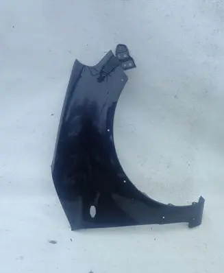 Suzuki SX4 Fender