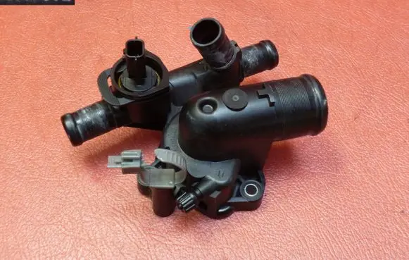 Thermostat/thermostat housing