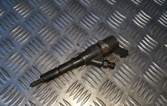 Peugeot 406 Fuel injector 0445110008 9635196580