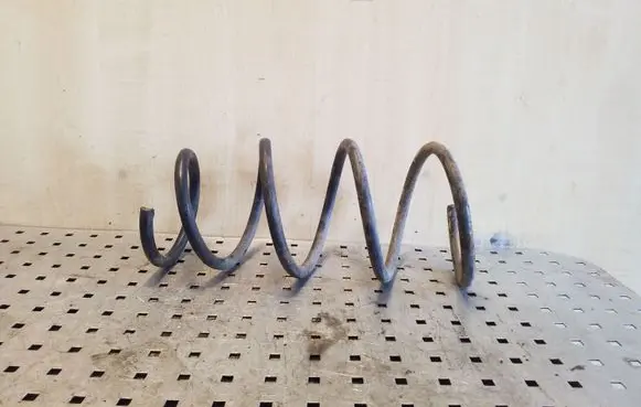 Renault Scenic I Front coil spring