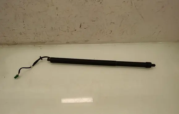 Tailgate/trunk strut/damper