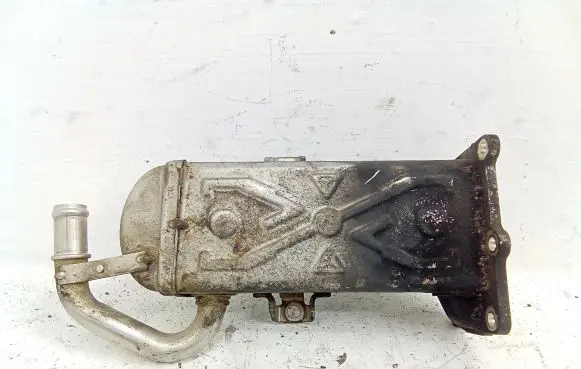 Skoda Roomster (5J) EGR valve cooler