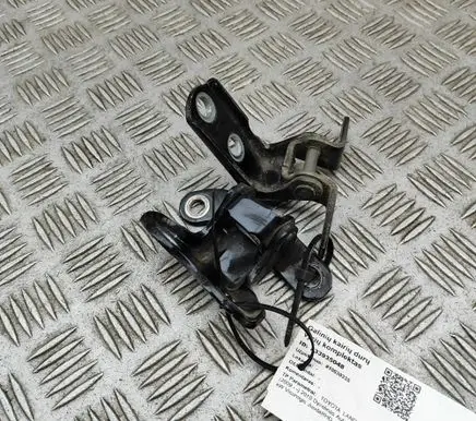 Toyota Land Cruiser (J200) Rear door hinge set 6876020122 6878052031