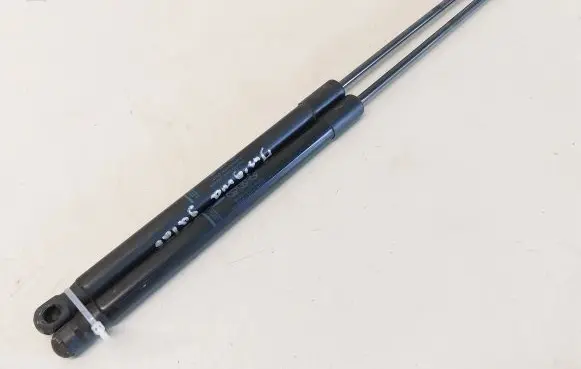 Opel Insignia A Tailgate/trunk strut/damper 22798954 315005777
