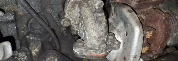 Nissan Almera Tino Engine coolant pipe/hose 