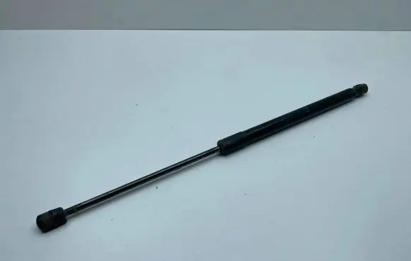 Tailgate/trunk strut/damper