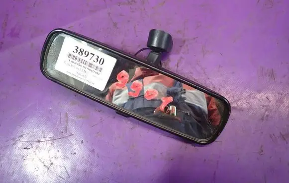Ford Focus Rear view mirror (interior)