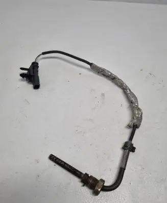 Volvo XC60 Exhaust gas temperature sensor 31319842