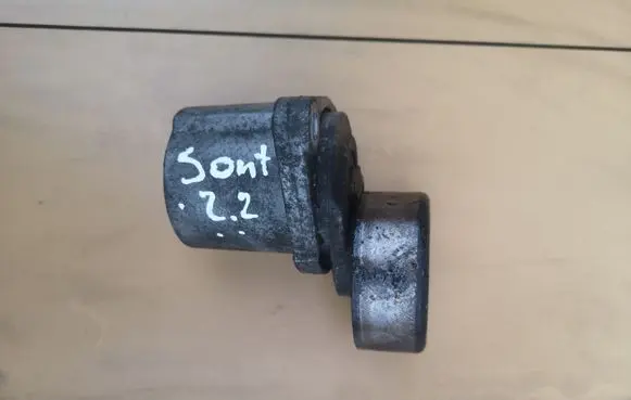Hyundai Santa Fe Timing belt/chain tensioner 
