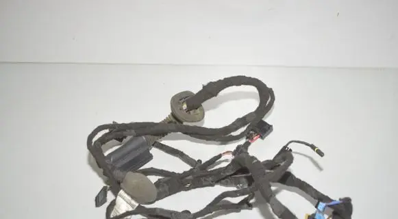 BMW 3 G20 G21 Front door wiring loom 5A0C080