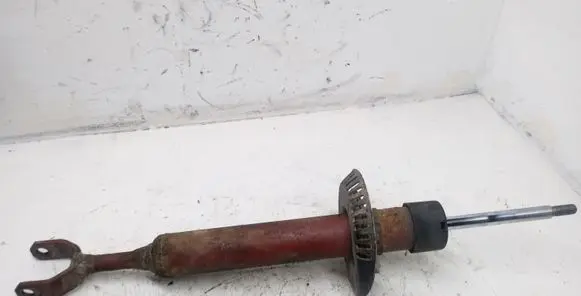 Front shock absorber/damper