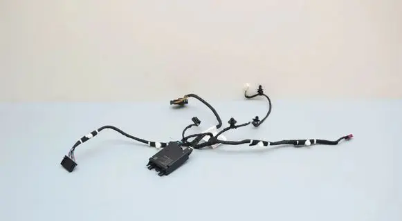 BMW 5 G60 G61 Front door wiring loom 5A53015