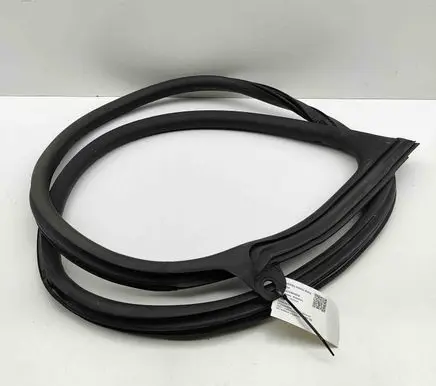 Audi E-tron GT Rubber seal front coupe door 9J1831721A