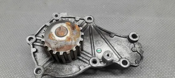 Ford Fiesta Water pump 267393