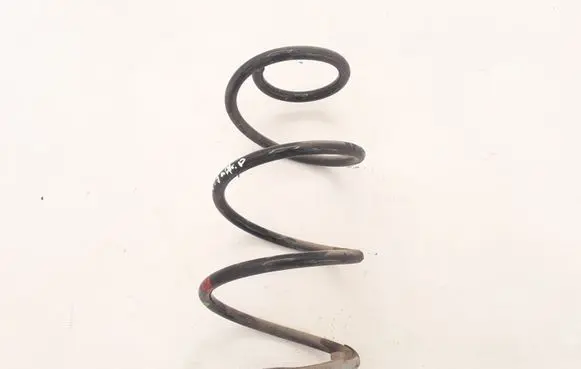 Renault Zoe Front coil spring 540107003R