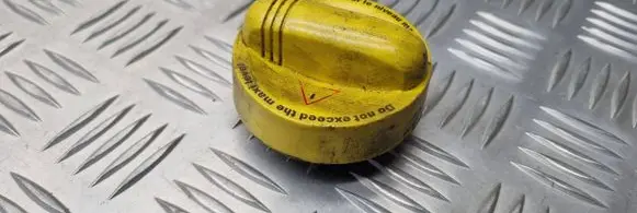 Renault Clio III Oil filler cap 110771