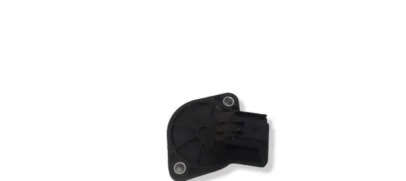 Chrysler Voyager Camshaft position sensor 47810