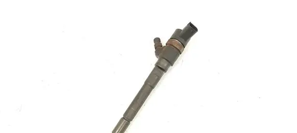 KIA Carens II Fuel injector 0445110258 3380027400