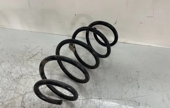Front coil spring