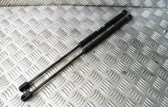 Tailgate/trunk strut/damper