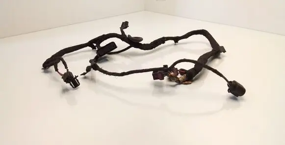 Volkswagen Bora Rear door wiring loom