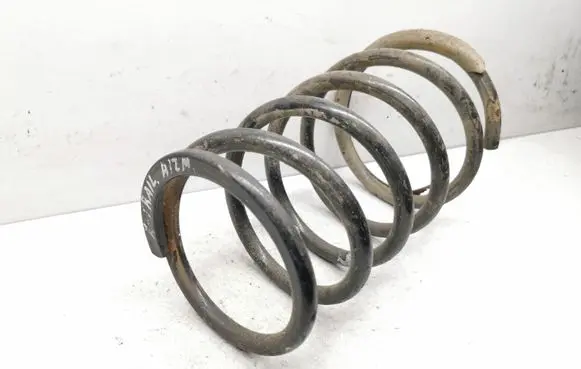 Nissan X-Trail T30 Rear coil spring