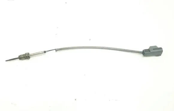 Exhaust gas temperature sensor