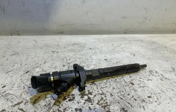 Citroen C4 I Fuel injector 0445110259