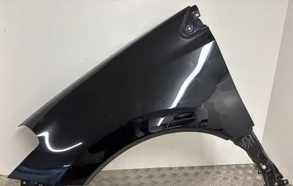 Renault Koleos I Fender