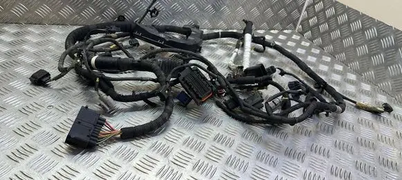 Land Rover Range Rover Sport L494 Engine installation wiring loom FPLA9H589CF CPLA14A099AB