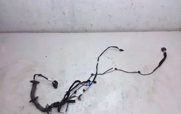 Front door wiring loom