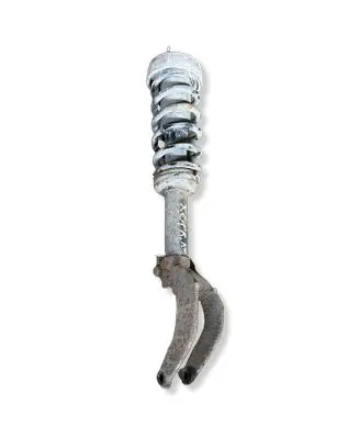 BMW X6 E71 Front shock absorber/damper 