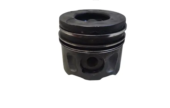 Citroen C5 Piston 