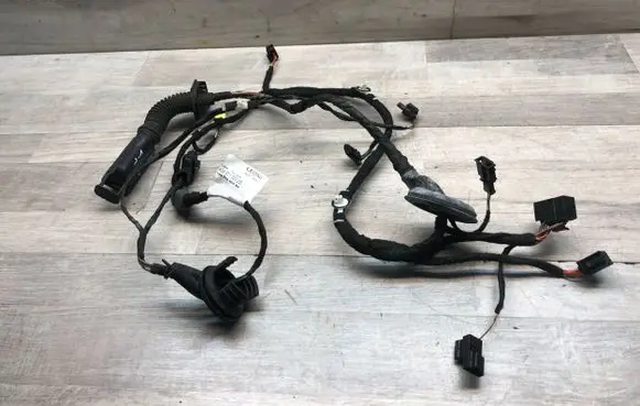 Front door wiring loom