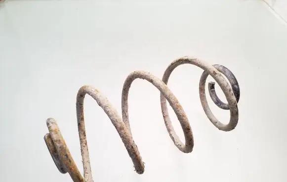 Rear coil spring