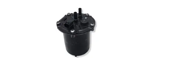 Renault Kangoo II Fuel filter A6070900852 164004327R