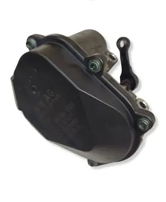 Seat Exeo (3R) Intake manifold valve actuator/motor 03L129086 A2C53248883 1042390S01
