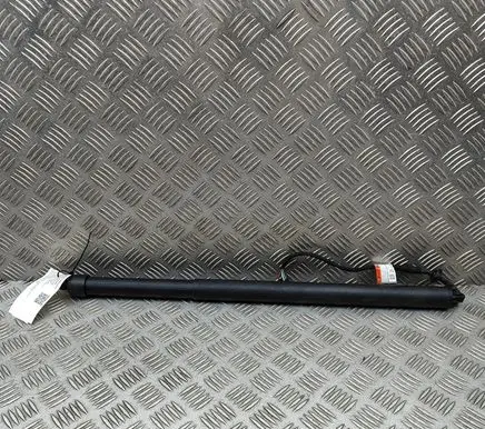 Land Rover Range Rover Sport L461 Tailgate/trunk strut/damper N9X270355AE
